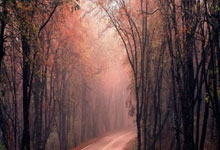 前曼联青训前锋：霍伊伦很有拼劲，但要减少与防守球员的肉搏.