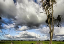 [棋牌]坎坷前行与多元拓展 玲珑围棋队走过.