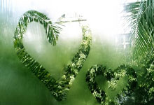 [CBA]杨瀚森单挑阿丘尔 写意单手挑篮命中.